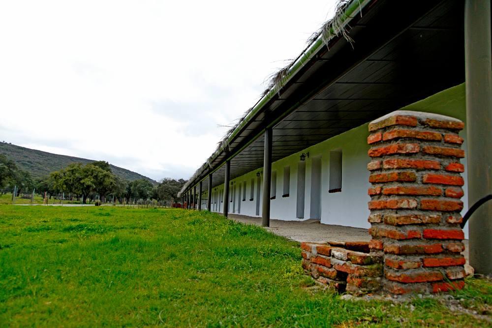 Hotel Rural Puerta De Monfrague Вильяреаль-де-Сан-Карлос Экстерьер фото
